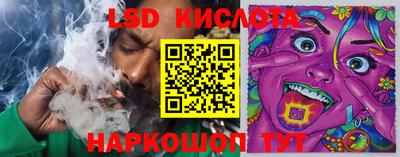 spice Владивосток