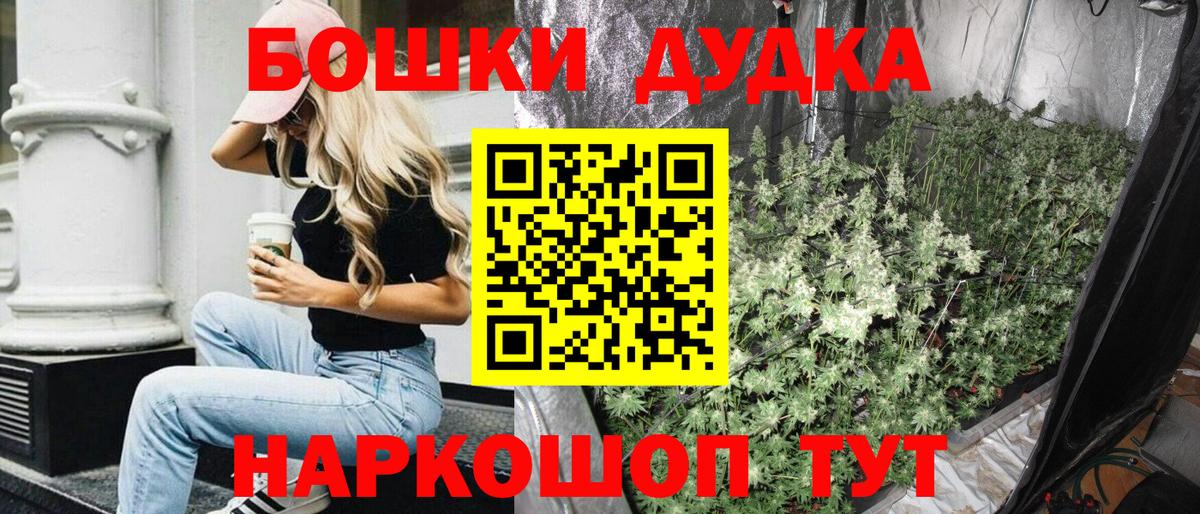Бошки Шишки конопля  Конопля план  Вход с VPN  Бошки марихуана THC 21%  Коряжма  Конопля AK-47 